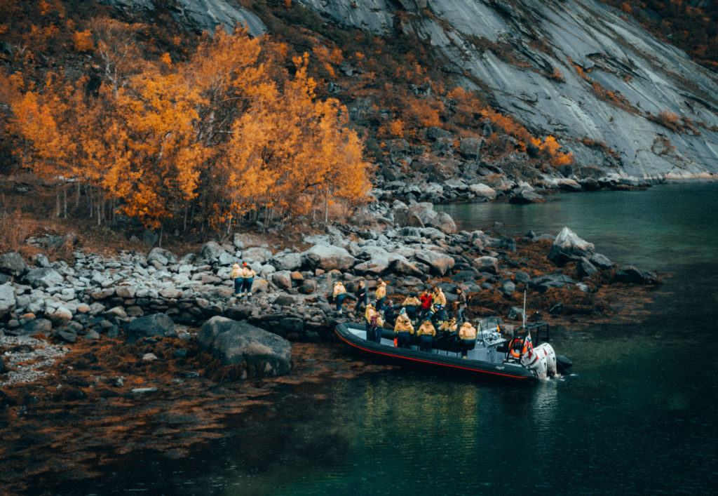 RIB safari in lofoten